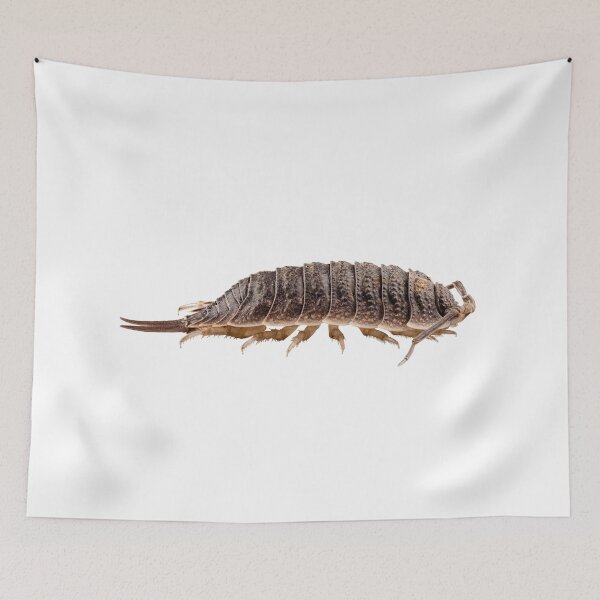 Item preview, woodlouse species porcellio wagnerii designed and sold by paulrommer.