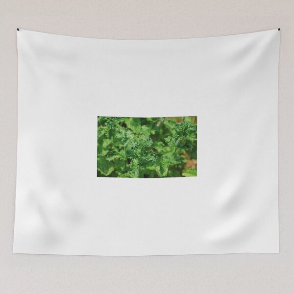 Item preview, Curly Mint designed and sold by jojobob.