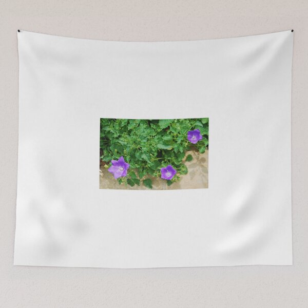 Item preview, Campanula Carpatica 2 designed and sold by jojobob.