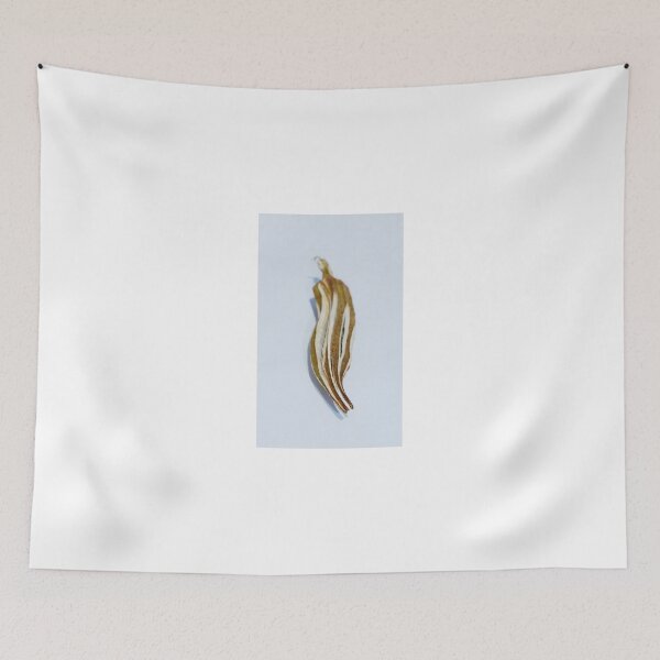 Item preview, Dried Okra Pod designed and sold by jojobob.