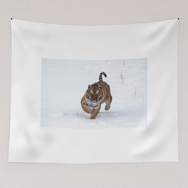 Item preview, Sberian tiger walking in the snow designed and sold by Jenny Hibbert.