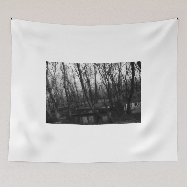 Item preview, forest designed and sold by bjphotographs.