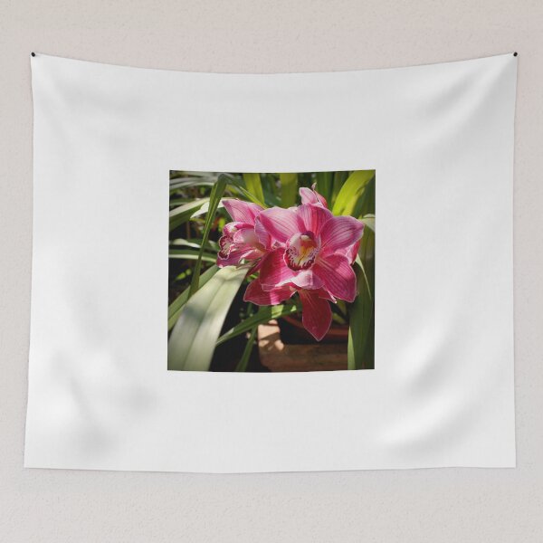 Item preview, Raspberry Squared designed and sold by Michael May.