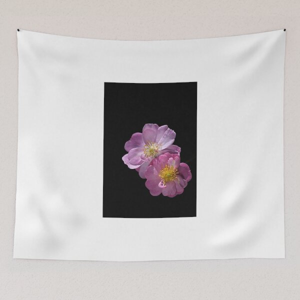 Item preview, Bush Rose Duet designed and sold by Joy Watson - Natural Light Photography .