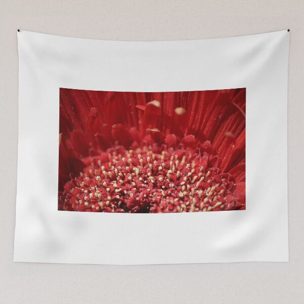 Item preview, Polin Party designed and sold by John Velocci.