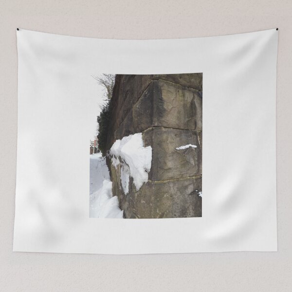 Item preview, Harsimus Stem Embankment, Snow View, Former Pennsylvania Railroad Embankment, Jersey City, New Jersey designed and sold by lenspiro.
