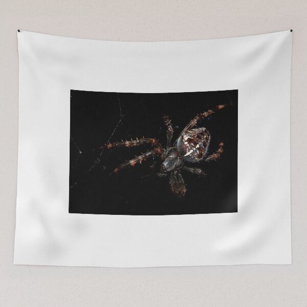 Item preview, Orb Weaver (7649) designed and sold by sensameleon.