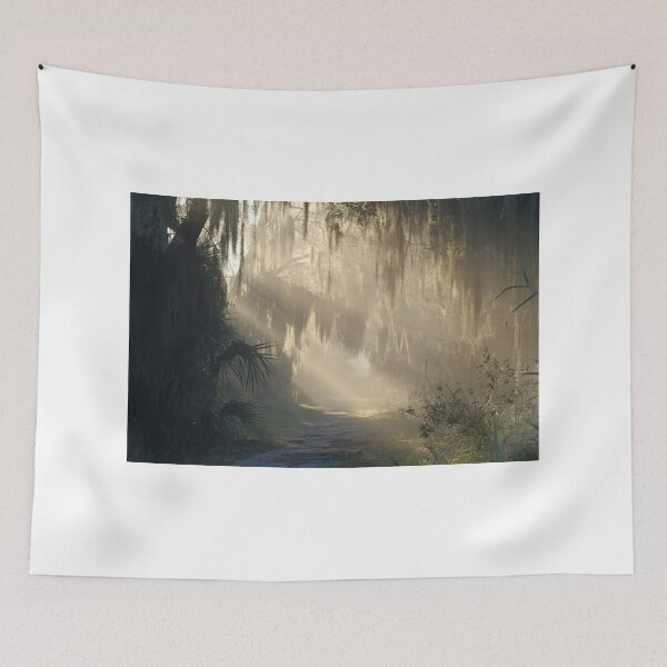 Item preview, A Ray of Florida Sunshine !! designed and sold by Anthony Goldman.