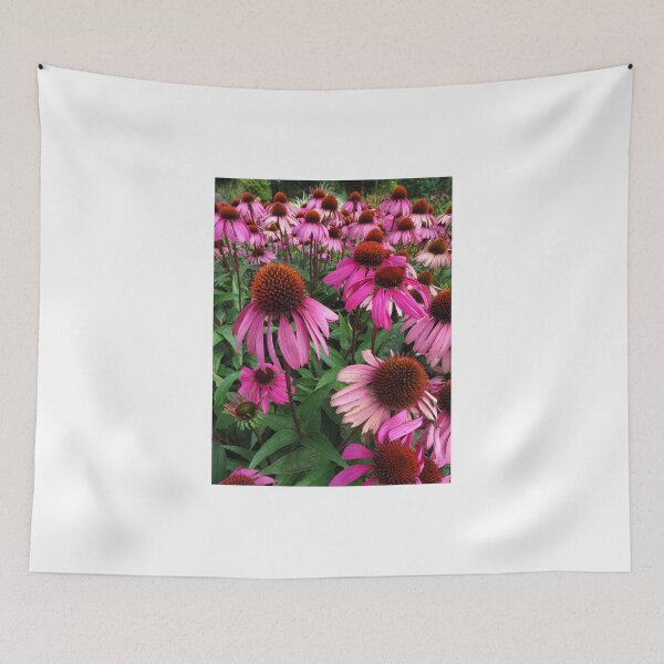 Item preview, Echinacea's ( Coneflowers ) designed and sold by wiggyofipswich.