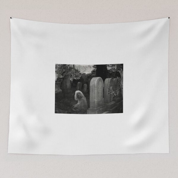 Item preview, Ghostly Girl By Her Grave, Sleepy Hollow Cemetery designed and sold by Jane Neill-Hancock.