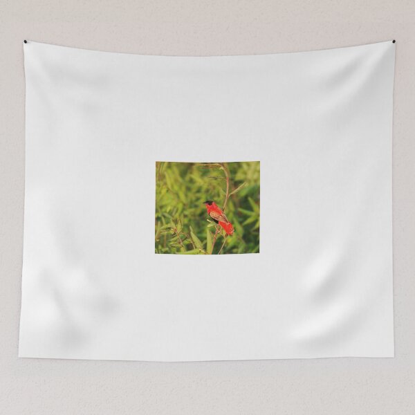 Item preview, Northern Red Bishop designed and sold by Sue Robinson.