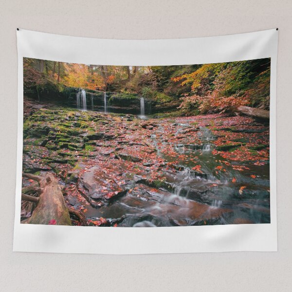 Item preview, More Moss And Autumn Leaves Than Water designed and sold by Gene Walls.