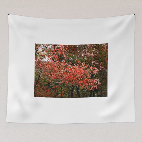 Item preview, AUTUMN WALK Series - 4 designed and sold by ctheworld.