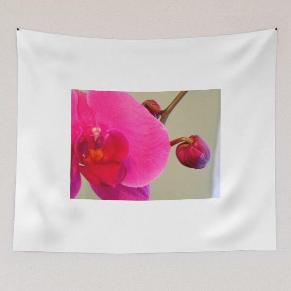 Item preview,  Surprise Smile - please view larger      ^ designed and sold by ctheworld.