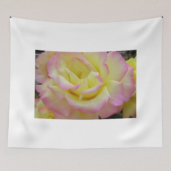 Item preview, Bi-coloured Rose designed and sold by lezvee.