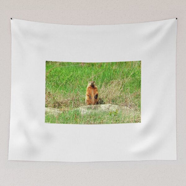 Item preview, Groundhog designed and sold by Kathleen Daley.