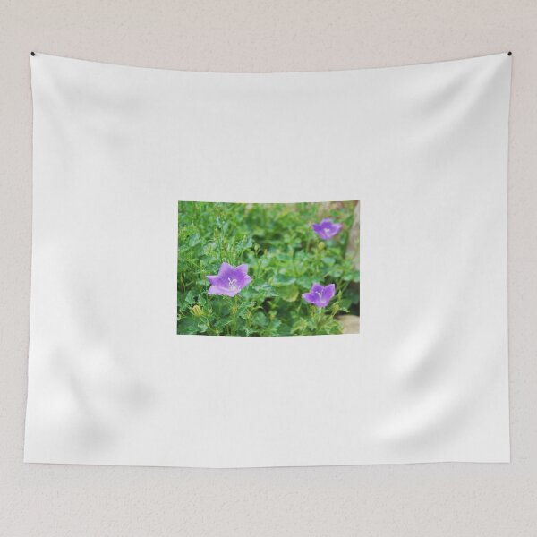Item preview, Campanula Carpatica 1 designed and sold by jojobob.