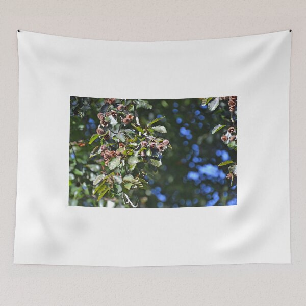 Item preview, Beech Nuts On The Trees...Uplyme Devon UK designed and sold by lynn carter.