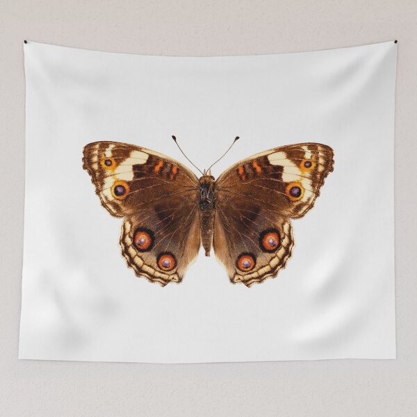 Item preview, Butterfly species Junonia orithya "Eyed Pansy" designed and sold by paulrommer.