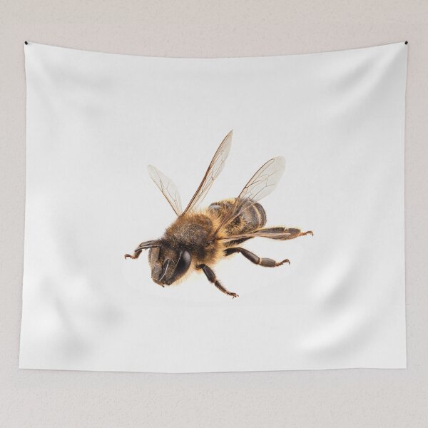 Item preview, Bee species apis mellifera common name Western honey bee or European honey bee designed and sold by paulrommer.