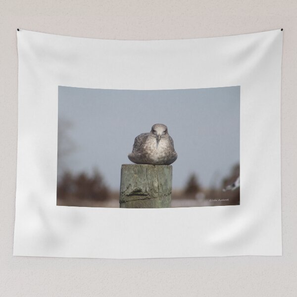 Item preview, Gull on Piling designed and sold by Gilda Axelrod.