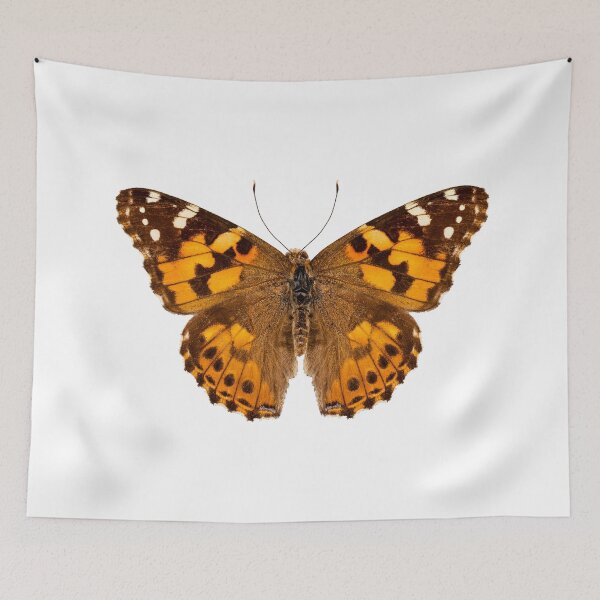 Item preview, Butterfly species Vanessa cardui "Painted Lady" designed and sold by paulrommer.