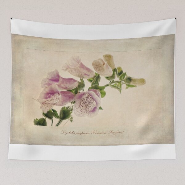 Item preview, Digitalis purpurea (Common Foxglove) designed and sold by Creative by Design.