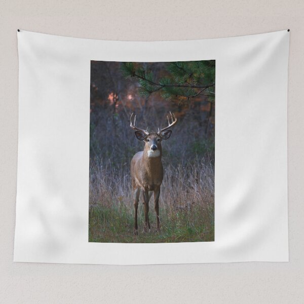 Item preview, White-tailed deer designed and sold by James Cumming.