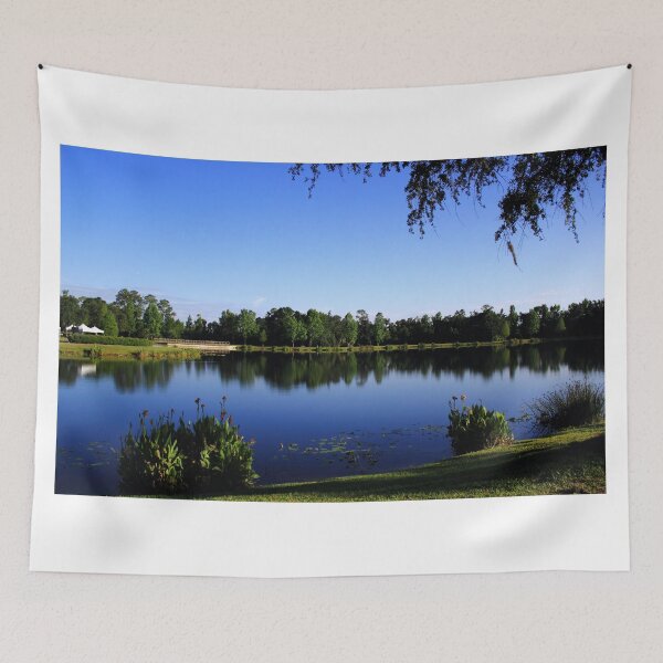 Item preview, Celebration Lake designed and sold by Wrayzo.