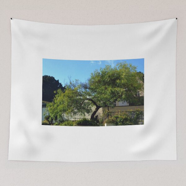 Item preview, Mimosa Tree ....Lyme Dorset UK designed and sold by lynn carter.