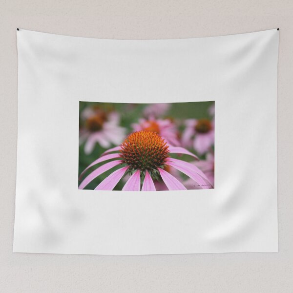 Item preview, Purple Coneflowers designed and sold by Gilda Axelrod.