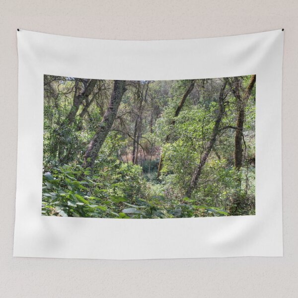 Item preview, A Window To The Forest designed and sold by Diego Re.