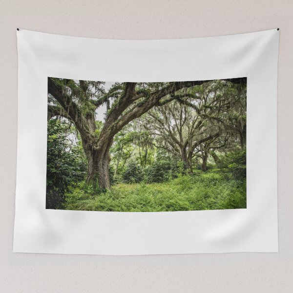 Item preview, Live Oak with Spanish Moss designed and sold by eegibson.