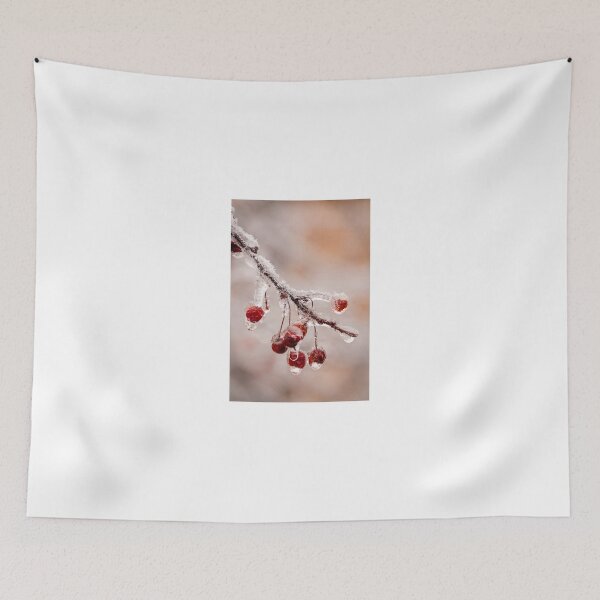 Item preview, Frozen Crab-apples designed and sold by Robert Kelch, M.D..