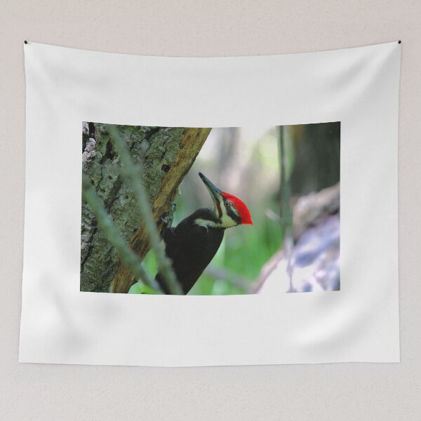 Aperçu de l'œuvre PILEATED WOODPECKER créée et vendue par Larry Trupp.