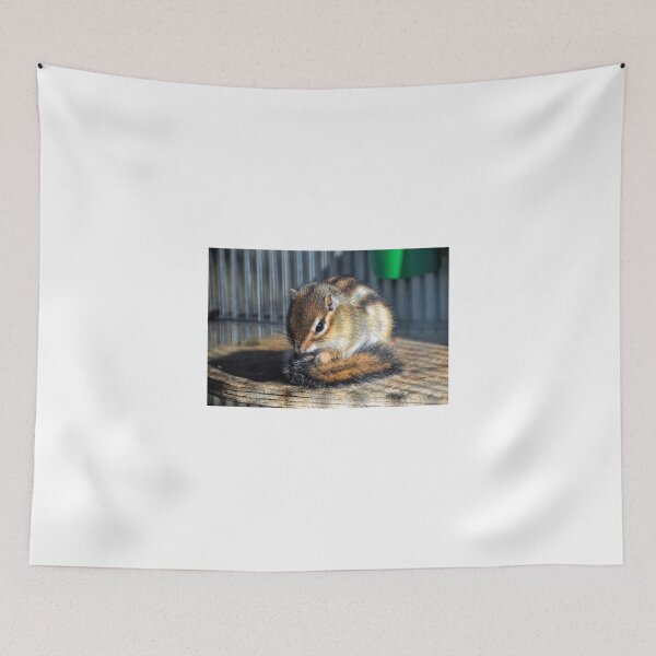 Item preview, Chipmunk designed and sold by lynn carter.