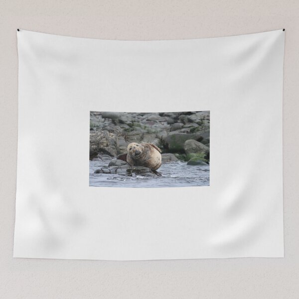 Item preview, Grey Seal designed and sold by Sue Robinson.