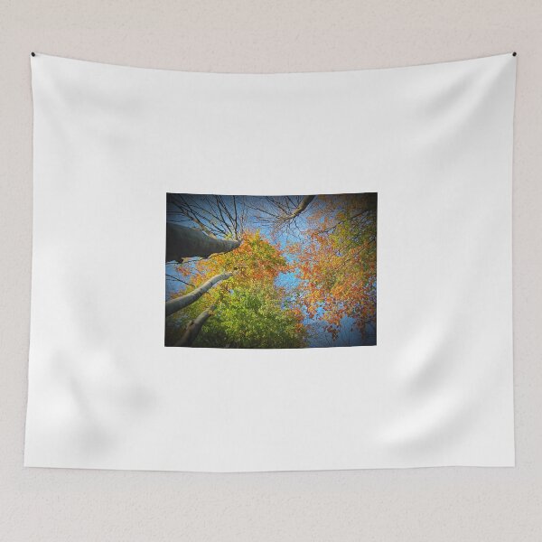 Item preview, Autumn Variations  designed and sold by Redrose10.