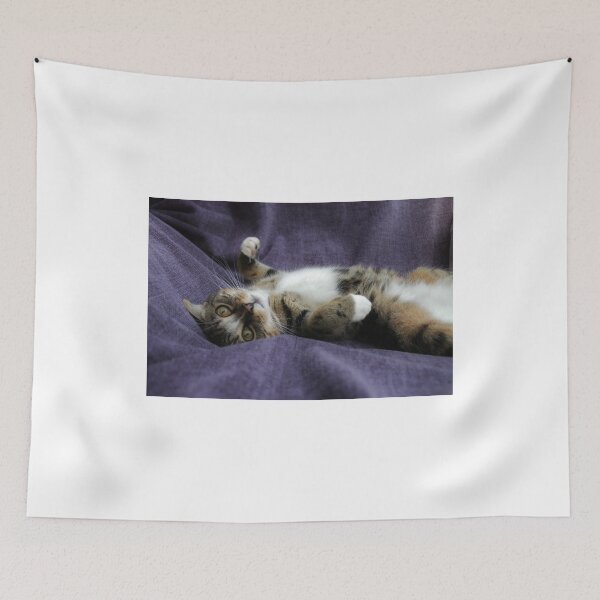 Item preview, A Little Hesitation designed and sold by Ladymoose.