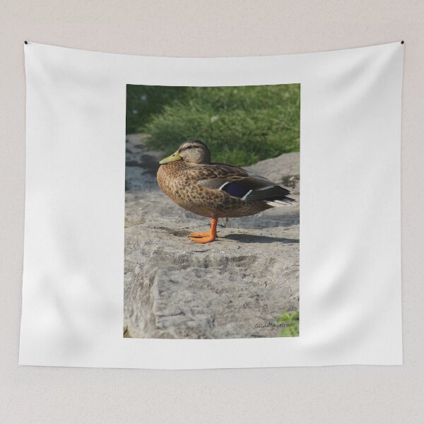 Item preview, Orange Feet designed and sold by Gilda Axelrod.