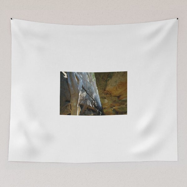 Item preview, Howlett Hall 3, Royal National Park, Australia 2010 designed and sold by muz2142.