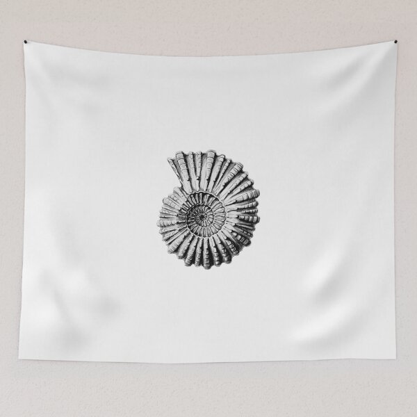 Item preview, Vintage Ammonite Spiral Fossil designed and sold by paper-kawaii.