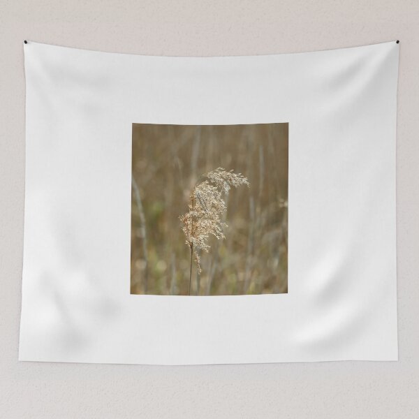 Item preview, Reed Seedhead designed and sold by Sue Robinson.