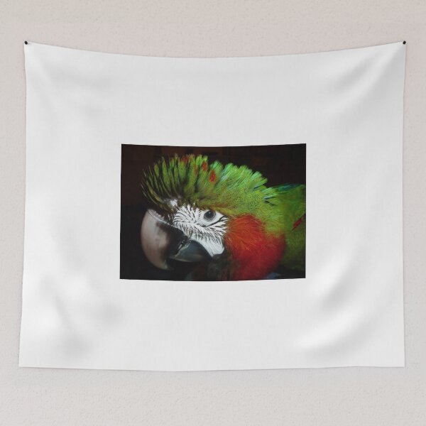 Item preview, Jubilee macaw portrait designed and sold by macawmad.