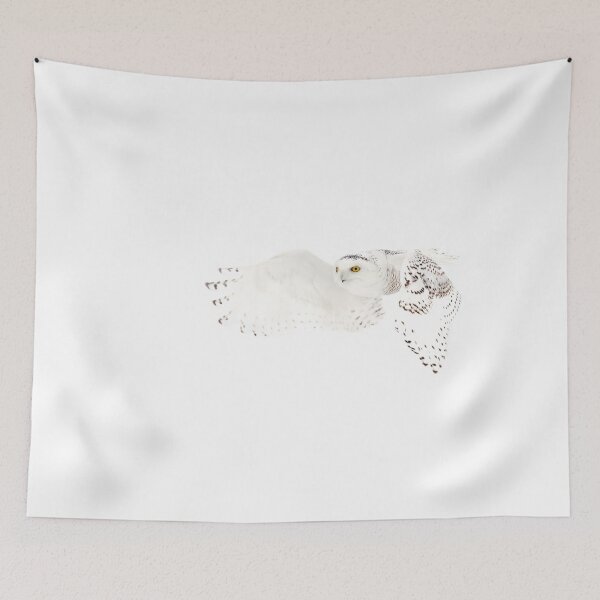 Item preview, He went that away - Snowy Owl designed and sold by James Cumming.