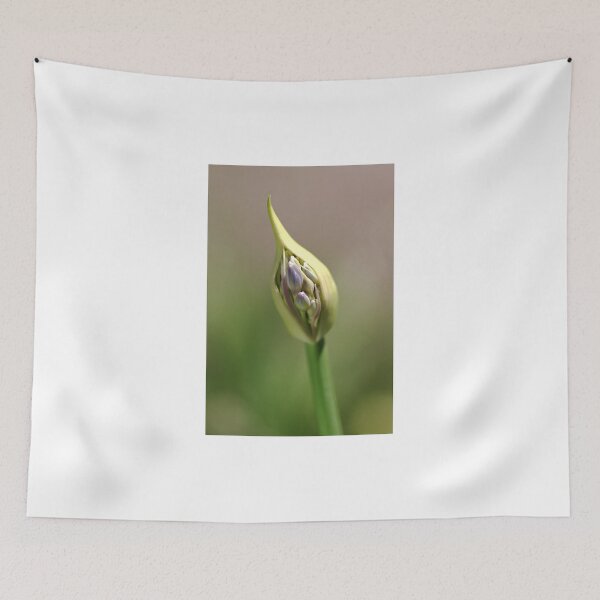 Item preview, flower-agapanthus-bud designed and sold by Joy Watson - Natural Light Photography .
