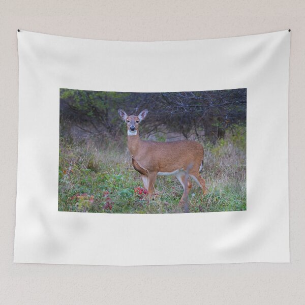 Item preview, Doe Queen - White-tailed deer designed and sold by James Cumming.