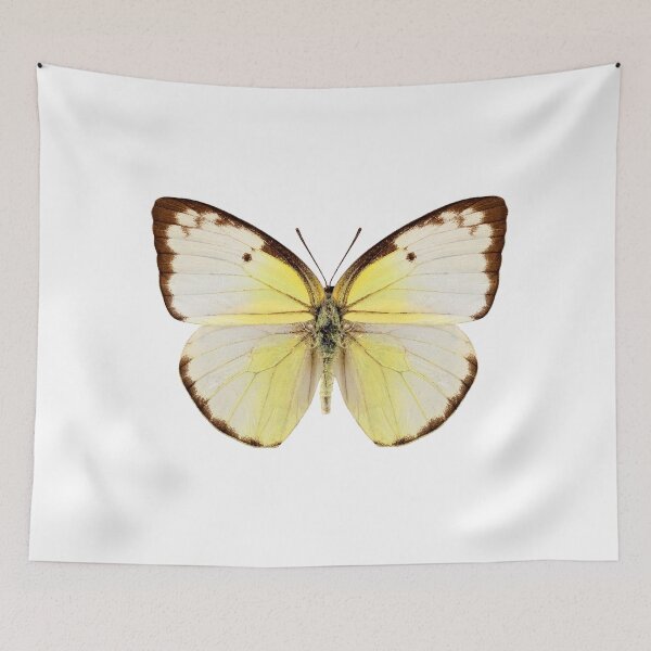 Item preview, Butterfly species Catopsilia pomona "Lemon Emigrant" designed and sold by paulrommer.