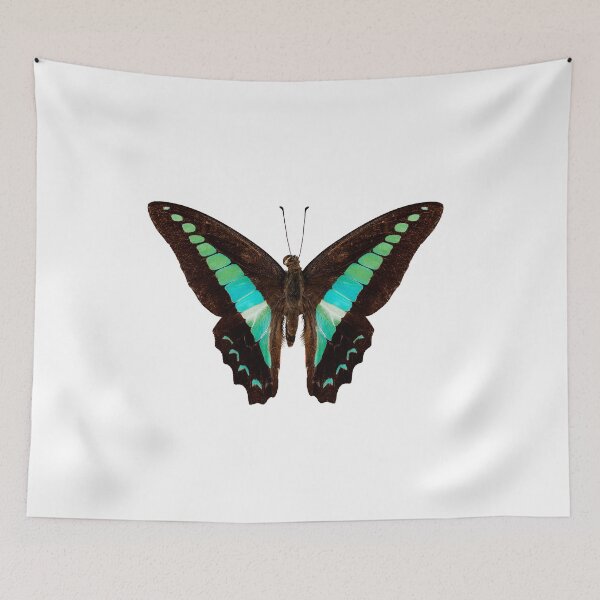 Item preview, Butterfly species Graphium sarpedon designed and sold by paulrommer.