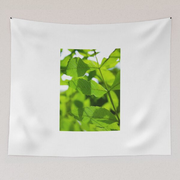 Item preview, Green Leaves designed and sold by fotohebden.